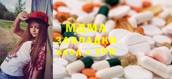 индика Елизово