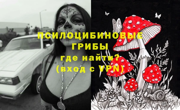 индика Елизово