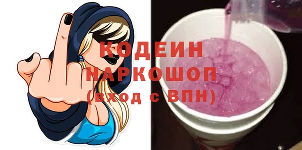 дживик Ельня