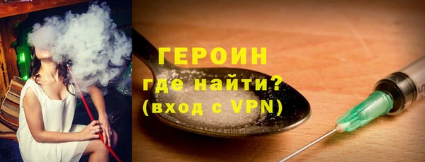 дживик Ельня
