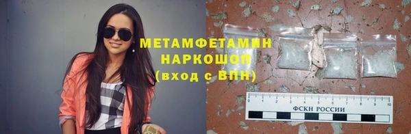индика Елизово