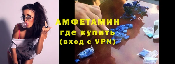 дживик Ельня