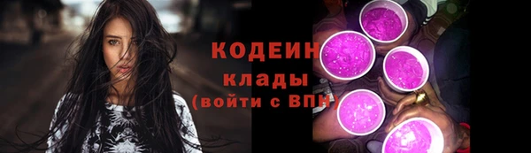дживик Ельня