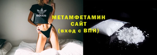 индика Елизово