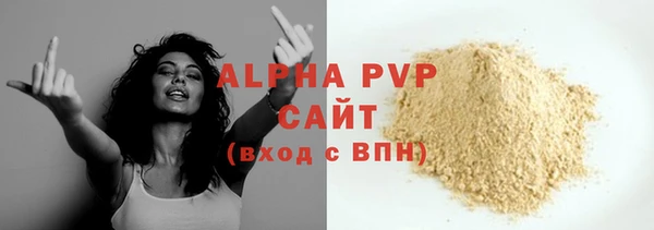PSILOCYBIN Елабуга