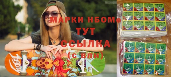 индика Елизово