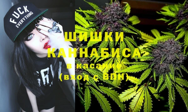 дживик Ельня