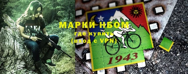 дживик Ельня
