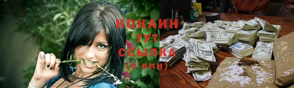 индика Елизово